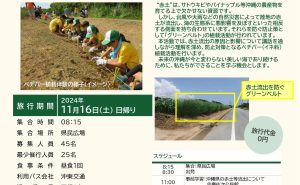 【申込終了しました】JTB地球いきいきプロジェクト「やんばる自然保護活動in東村」参加募集のご案内